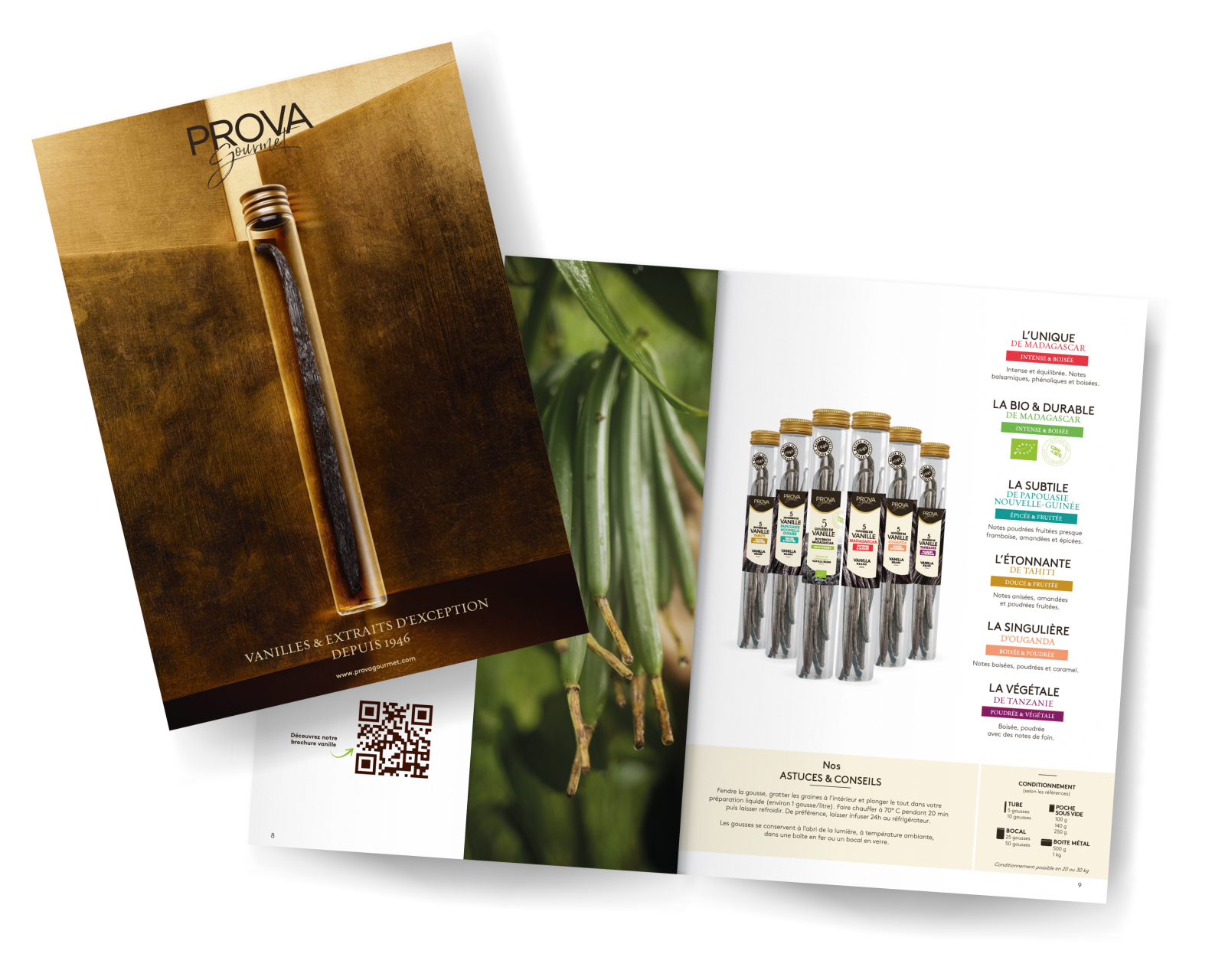 CATALOGUE